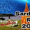 Sardine Run 2022 sardines