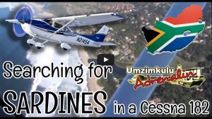 Read more about the article Searching for Sardines in a Cessna 182 light aircraft