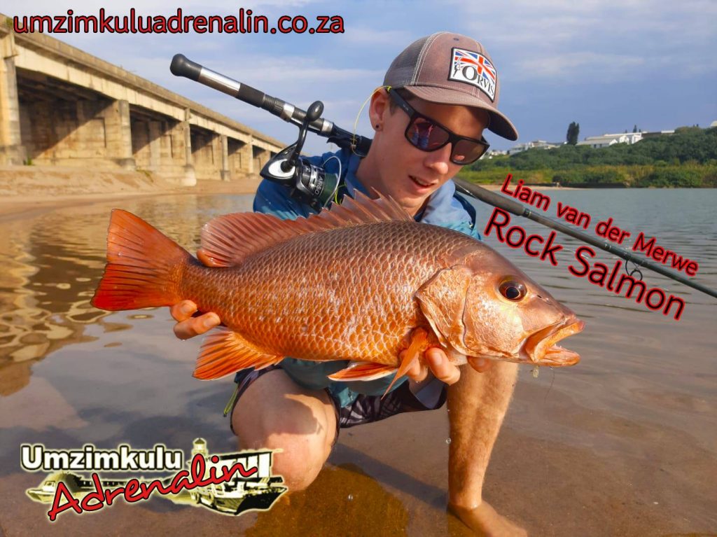 Liam van der Merwe releasing another rock salmon in the Umzimkulu Mouth area