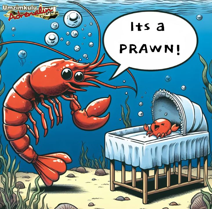Read more about the article It’s a Prawn!