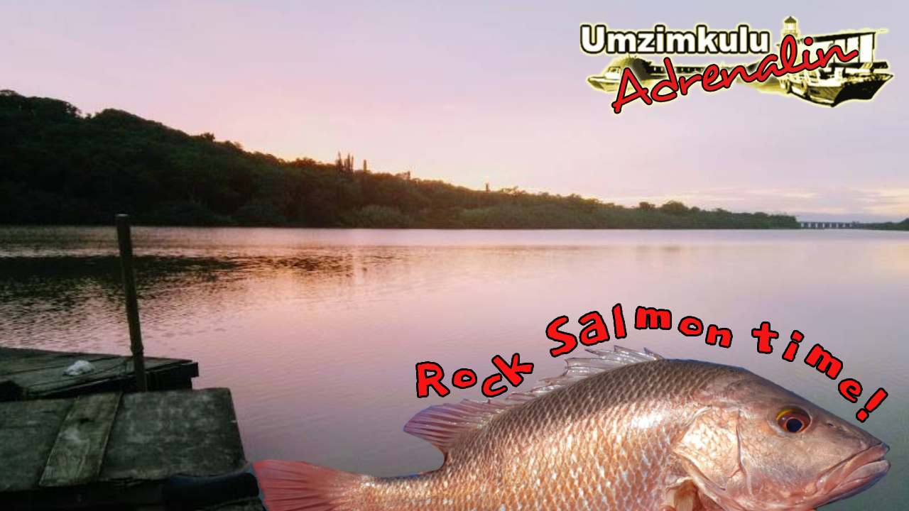 Read more about the article What a weekend at the Umzimkulu Marina!